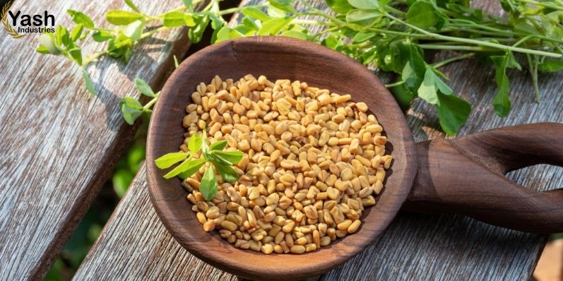 Fenugreek Seeds